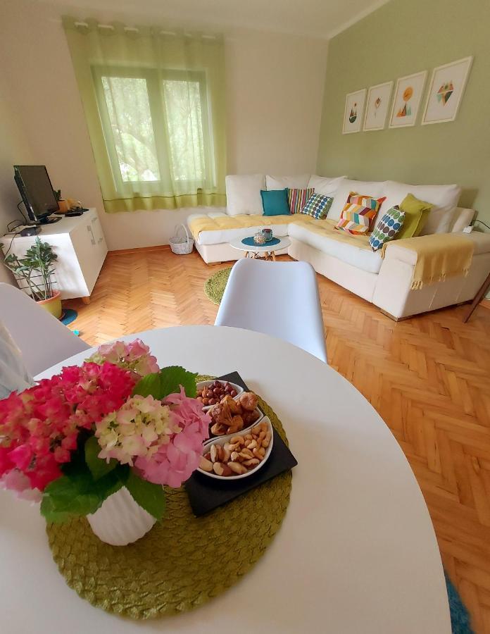 Apartments Iva Tivat Exterior photo