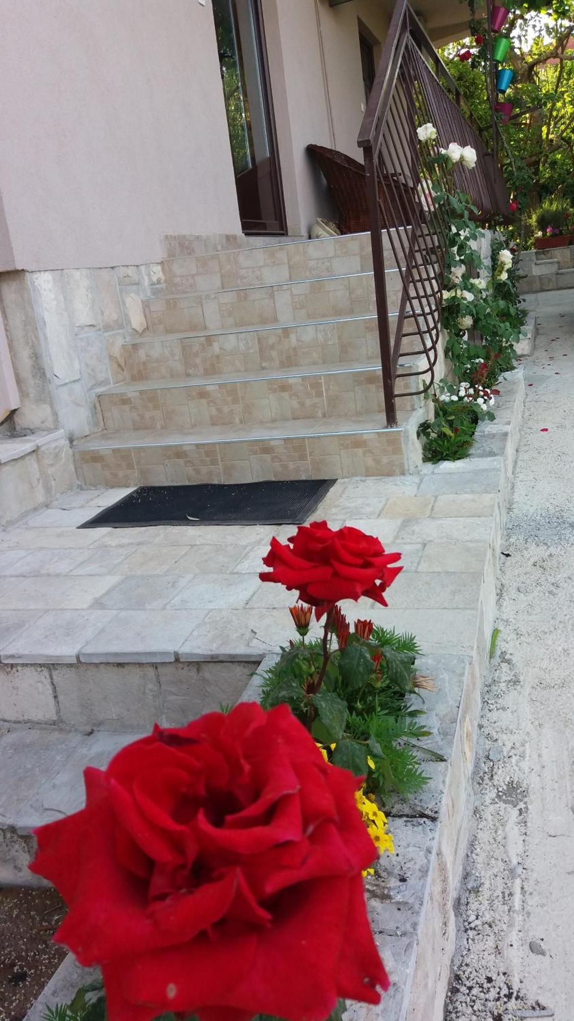 Apartments Iva Tivat Exterior photo