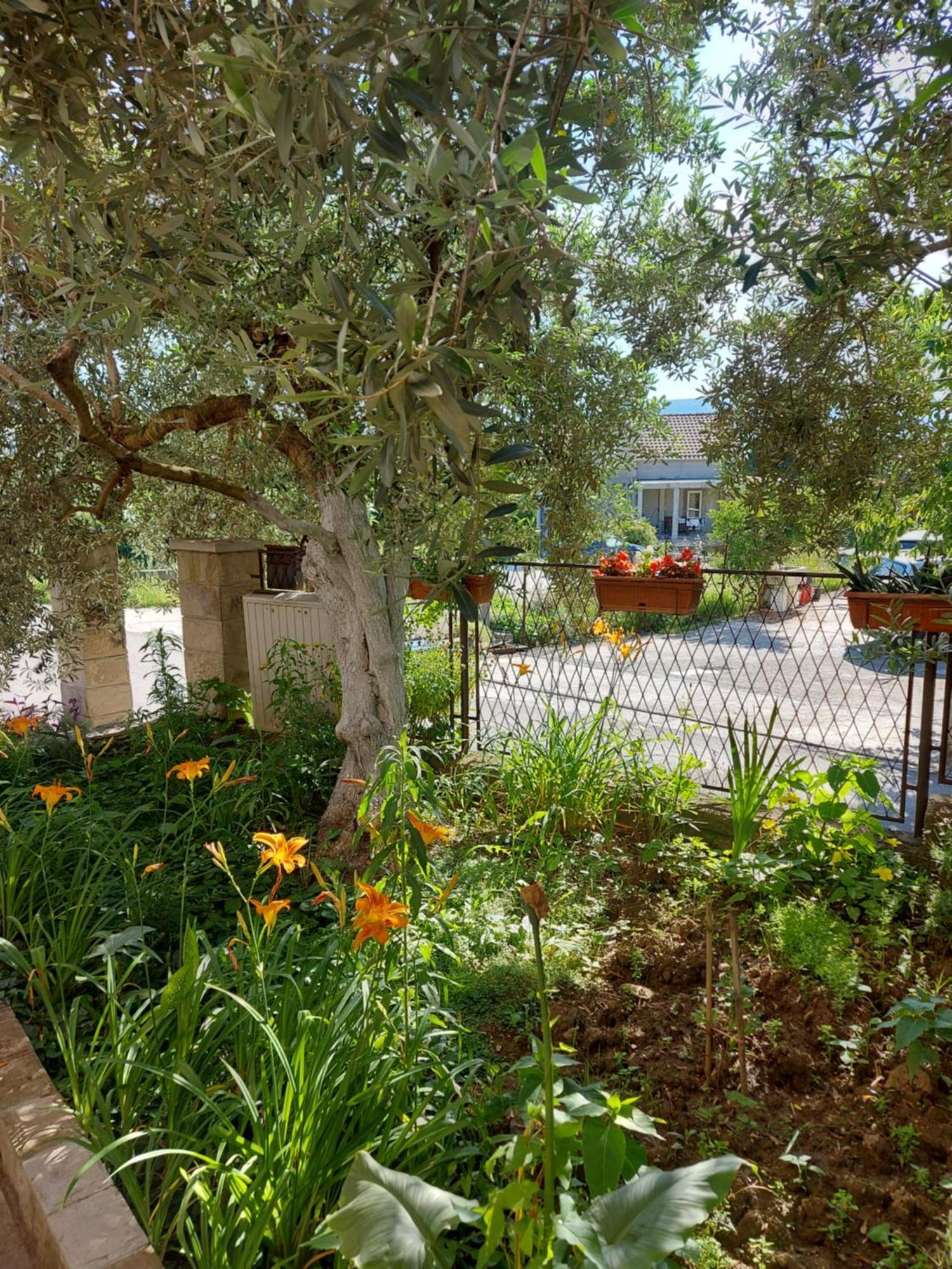 Apartments Iva Tivat Exterior photo